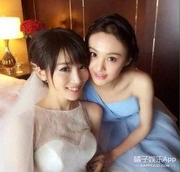 娱乐吃瓜酱伴娘小说,伴娘小说里的甜蜜与泪水